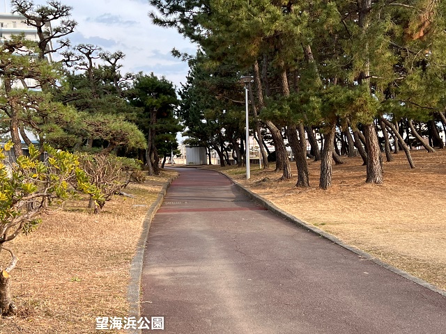 望海浜公園の遊歩道